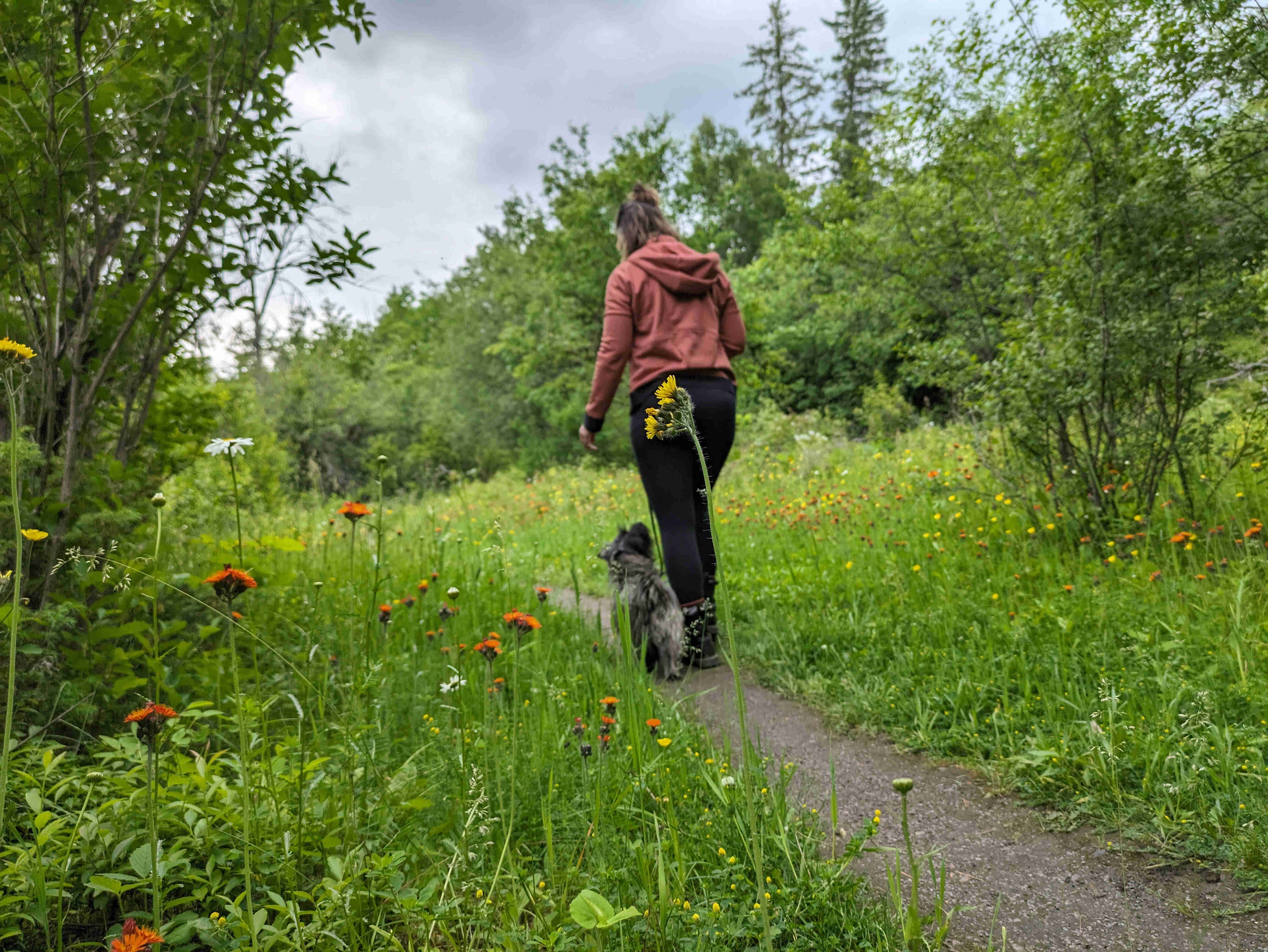 Photo of Koda with Perrine at heel