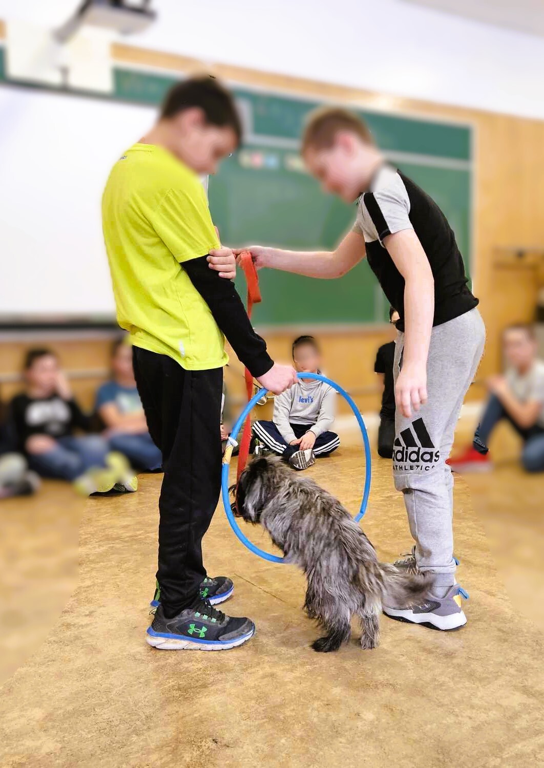 Koda jumping over a child's legs