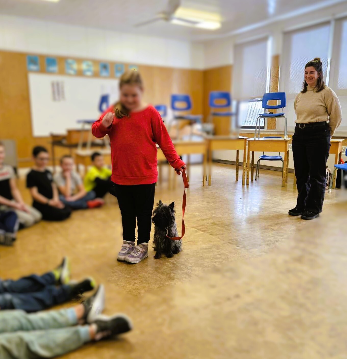 Koda doing obedience with child