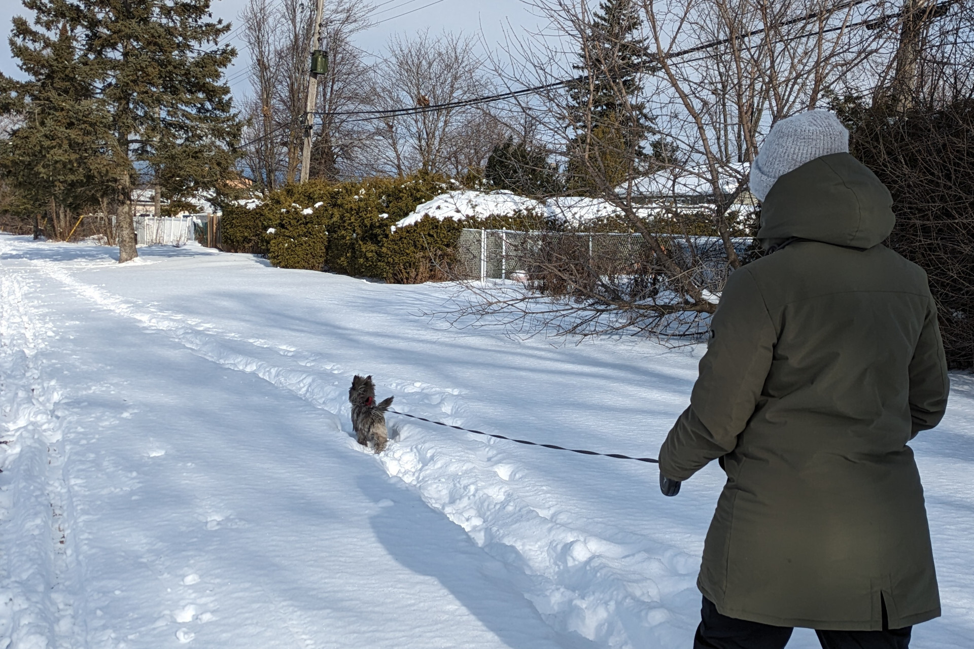 Koda and I walking in the snow