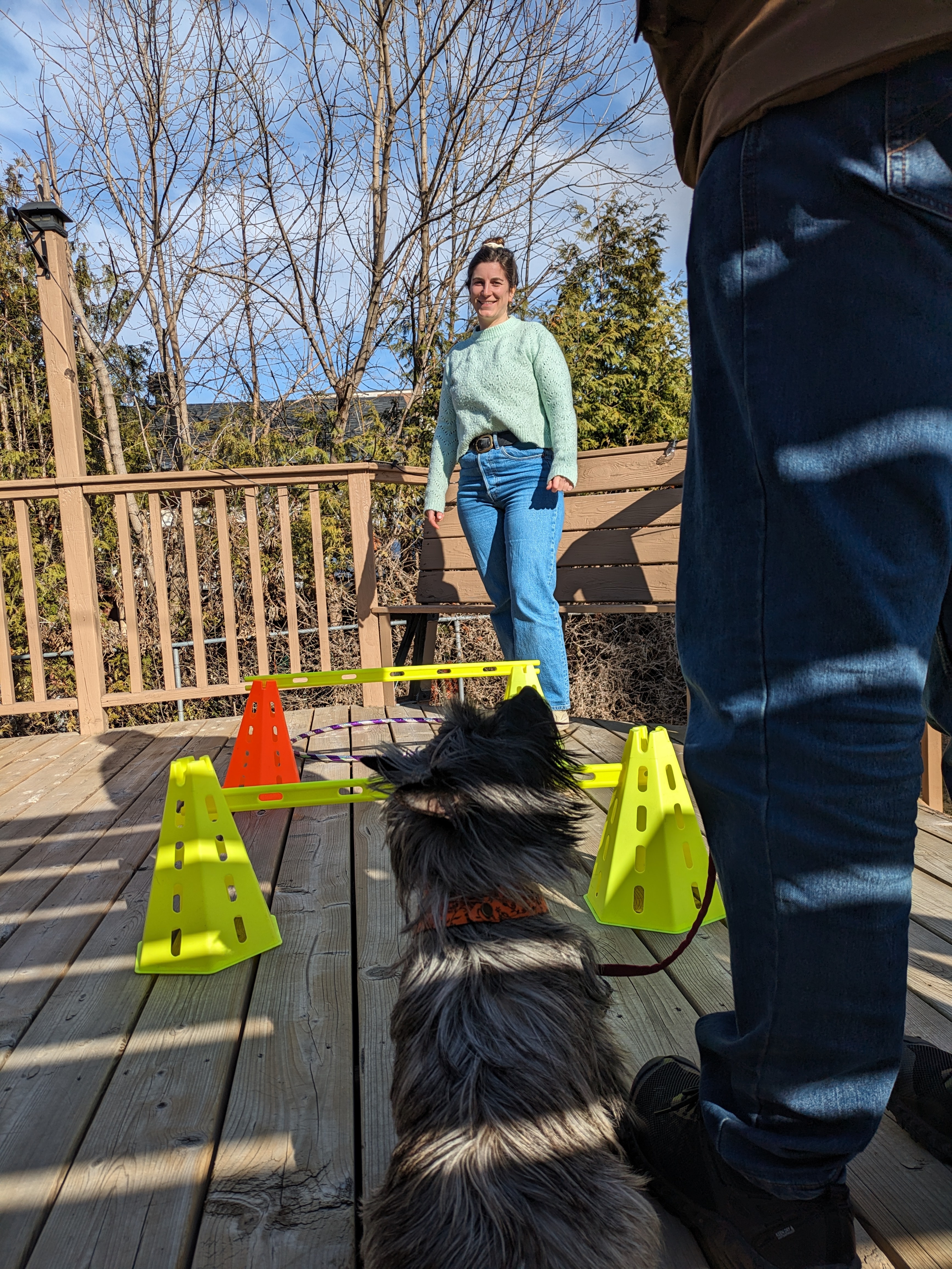 Koda and a patient ready to do jumps together